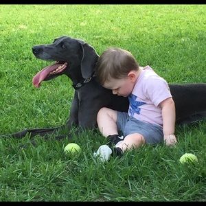 Meet your Posher, Casey